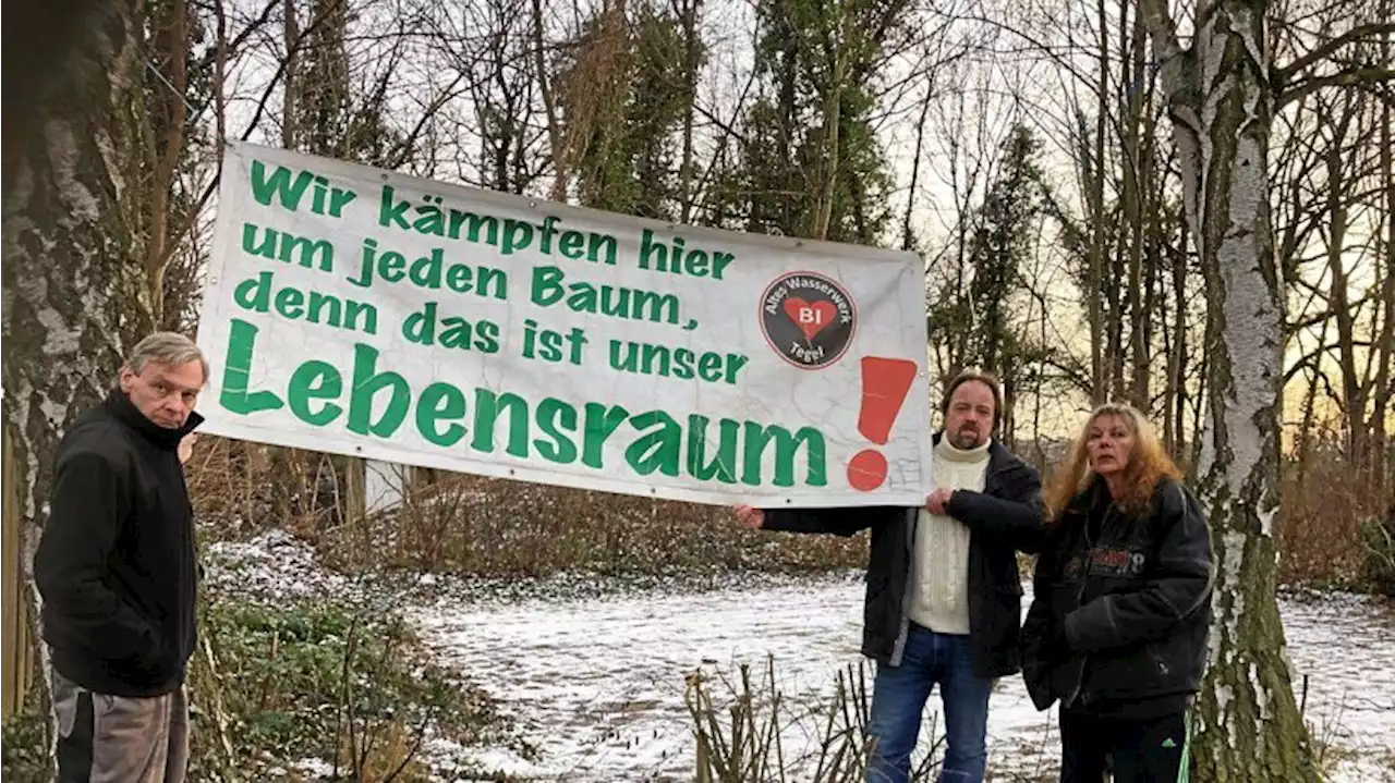 Altes Wasserwerk: Grüne Stadträtin opfert einen halben Wald