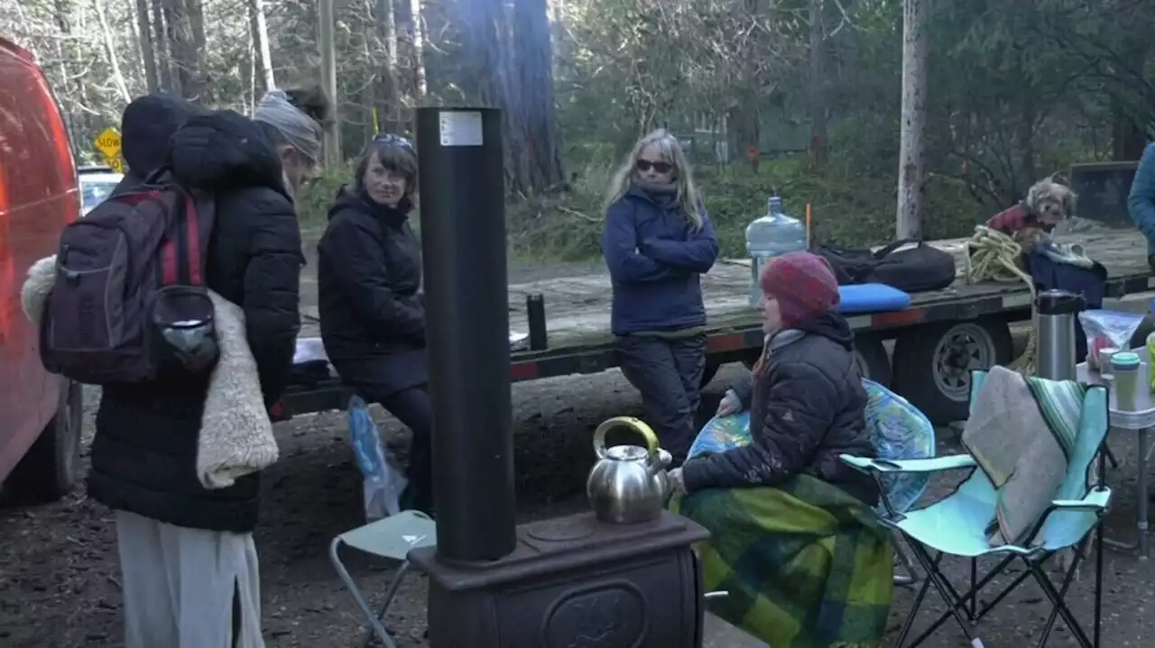 Demonstrators battle with BC Ferries over terminal expansion on Denman Island