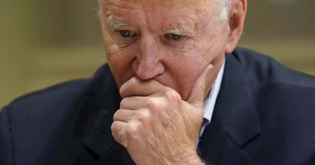 Biden gets support from 12% of Democrats who say he should be party leader: Poll