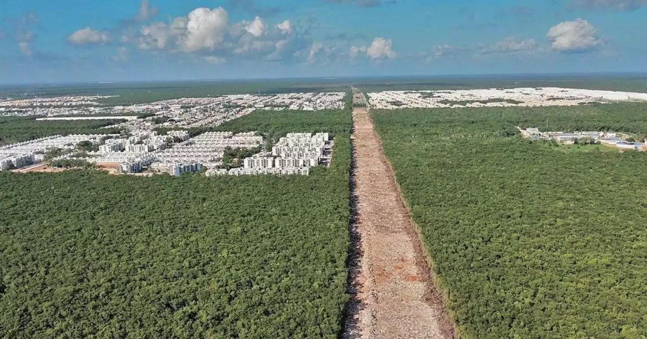 Quintana Roo se une al GCF Task Force para antender problemáticas ambientales