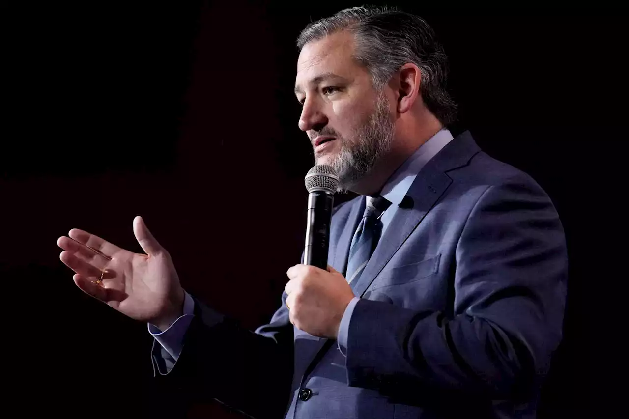 Despite presidential rumors, Ted Cruz says his focus on 2024 is winning re-election to Senate