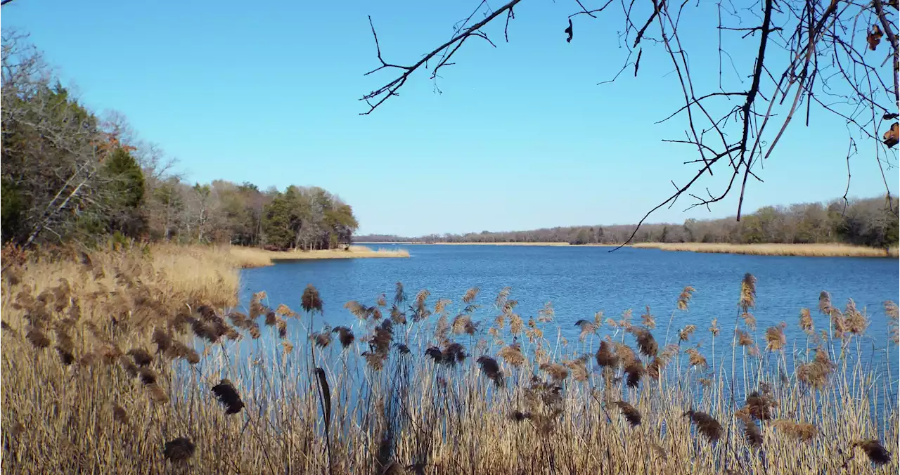 Fairfield Lake State Park closing to make way for a gated community