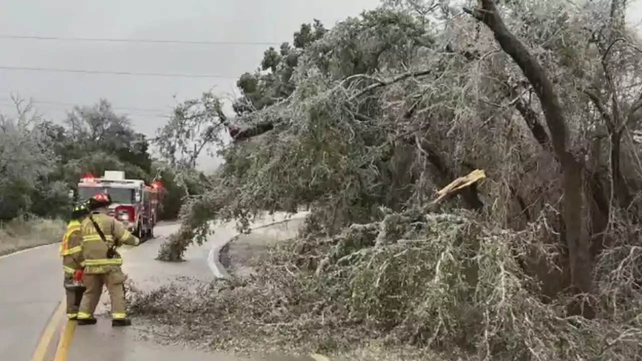 Travis County residents can drop off tree debris at Mansfield Dam Park