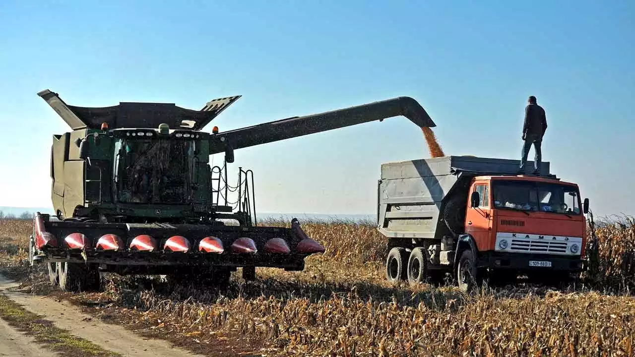 Ukrainian farms eligible for funding through United Nation's International Fund for Agricultural Development