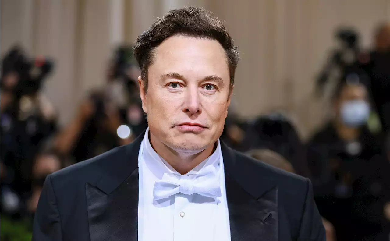 Twitter : malgré le sondage, Elon Musk veut rester le patron un moment