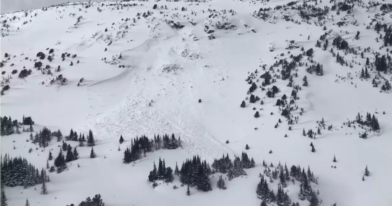 Avalanche kills 2 in B.C.’s Central Interior | Globalnews.ca