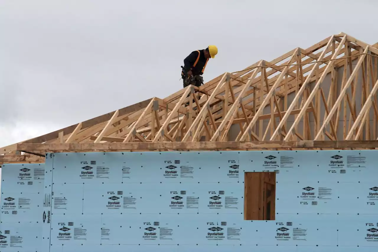 Annual pace of housing starts in Canada fell 13% in January, CMHC says