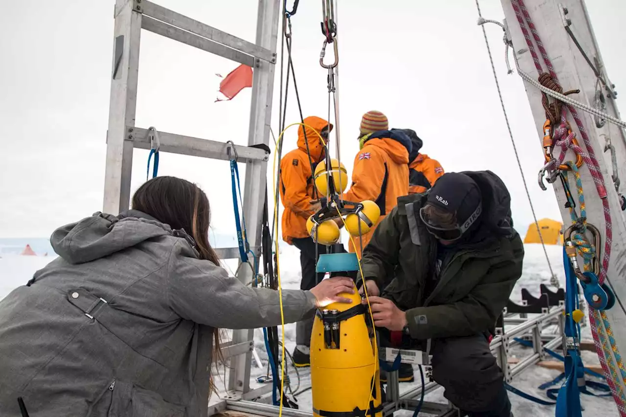 Warm water melts weak spots on Antarctica’s ‘Doomsday Glacier’, scientists say