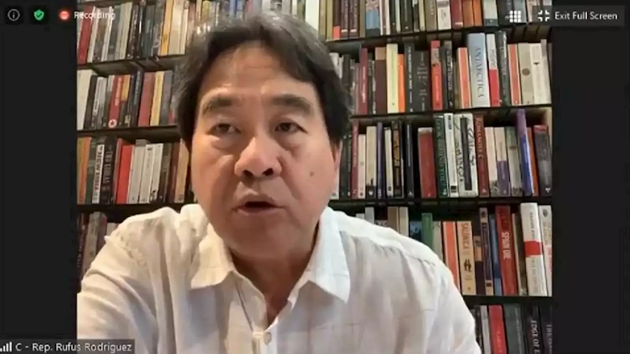 100% foreign ownership of industries possible with Cha-cha, says Rep. Rodriguez