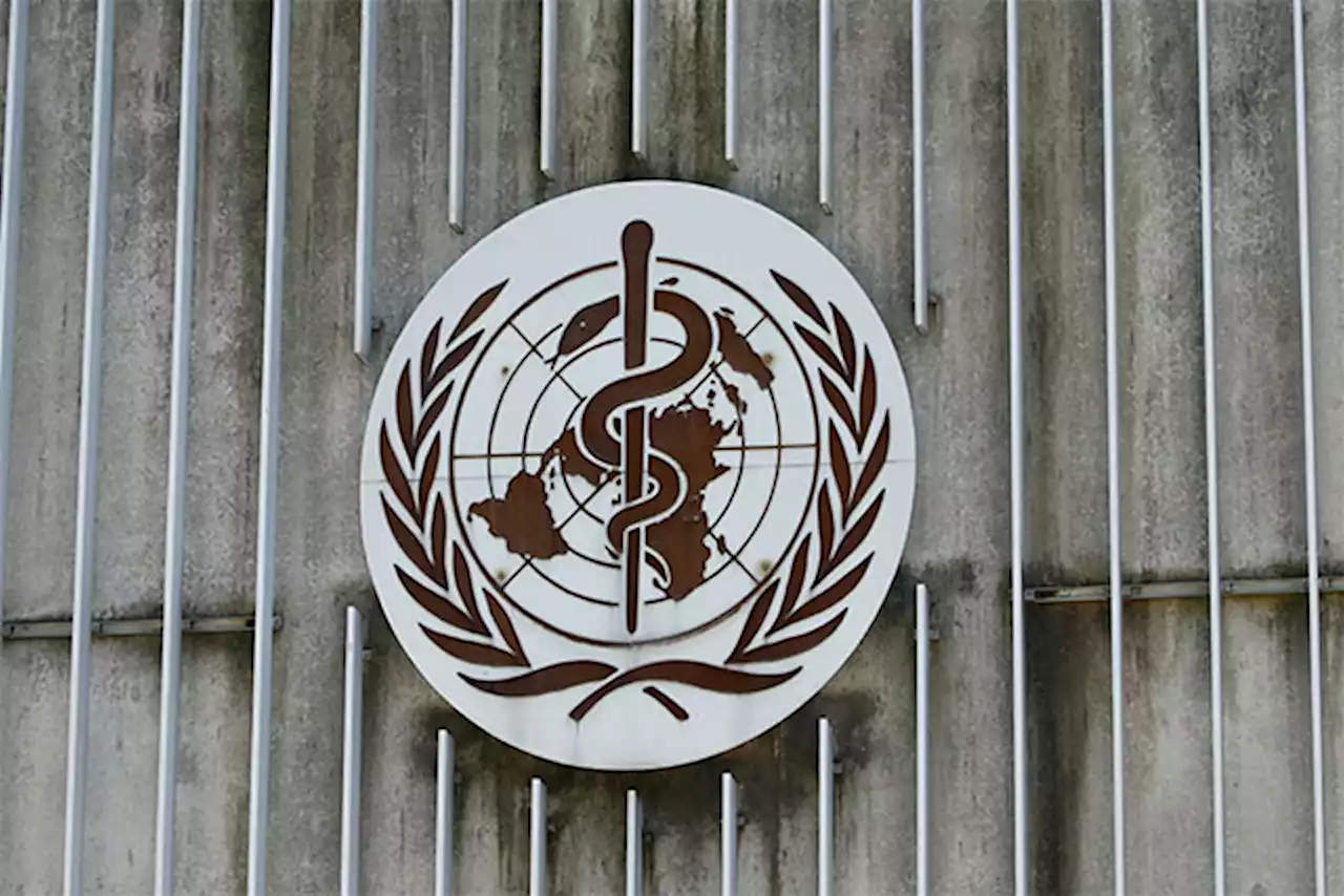 WHO increasing health surveillance after Equatorial Guinea finds Marburg virus