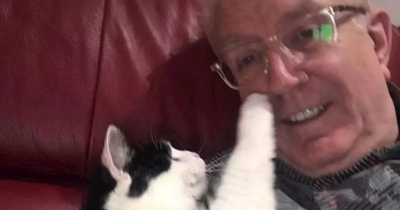 Rory Cowan to contact Gardai after someone threatened to drown his cat