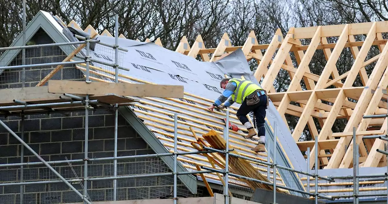 ‘Logjam’ of housing applications means swift resourcing of planning body essential, committee told