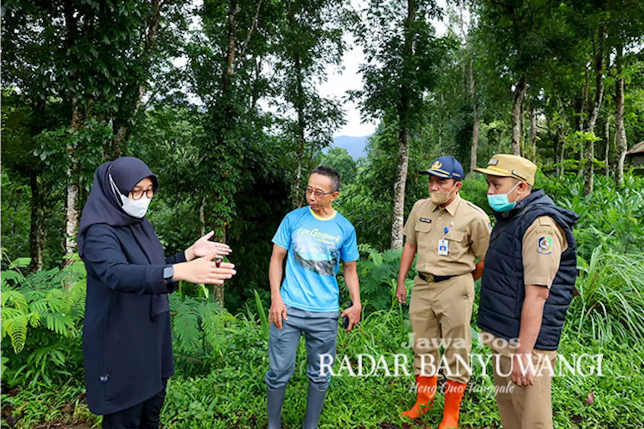 Tangani Problem Banjir, Ipuk Pantau Kawasan Hulu hingga DAS