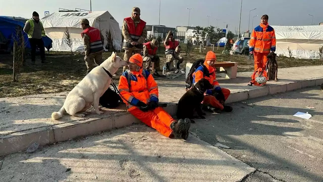 Rettungshunde finden nach neun Tagen Überlebende