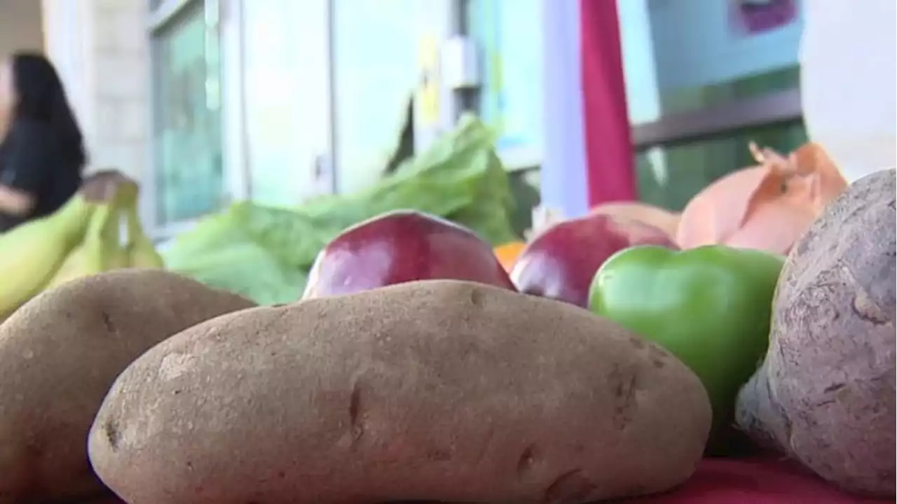 National organization helps San Antonio students, families eat healthier