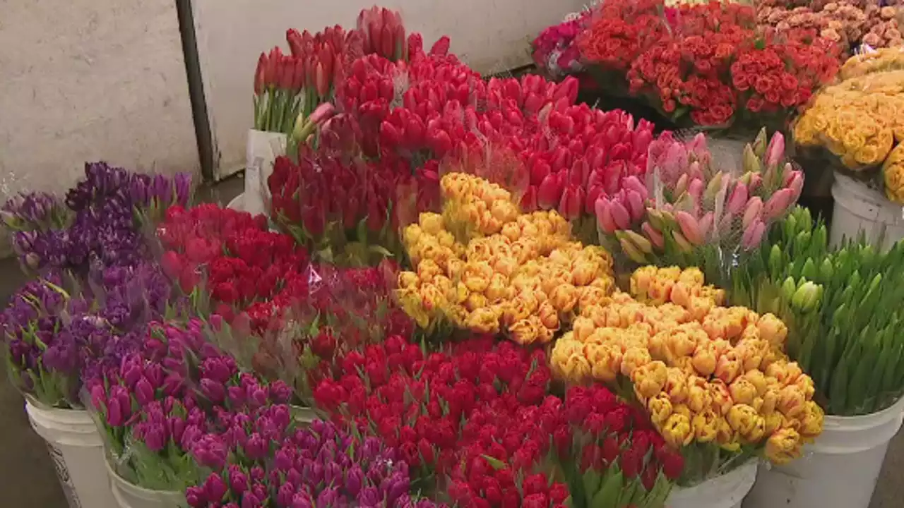 Valentine's Day flower frenzy hits San Francisco