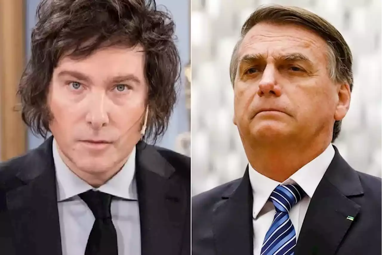 Javier Milei tuvo una videollamada con Jair Bolsonaro y coincidieron en “unir fuerzas para luchar contra el socialismo”