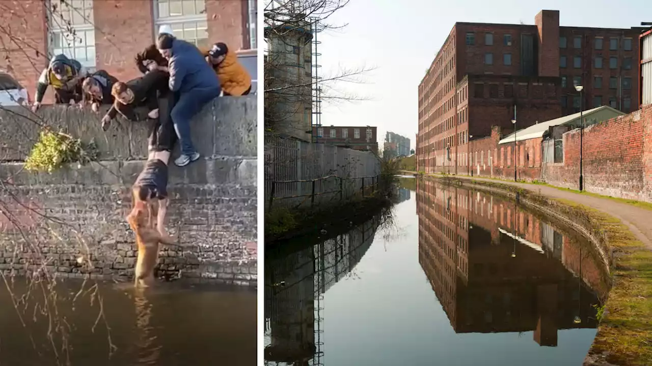 Round of ap-paws: Students unite to rescue dog that fell in Manchester canal