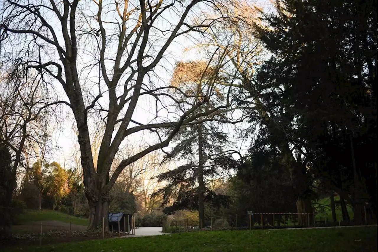 Police find more body parts in popular Paris park