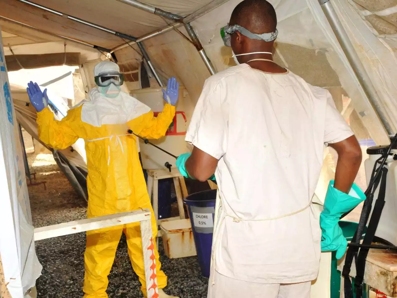 WHO to hold emergency meeting on E.Guinea Marburg outbreak