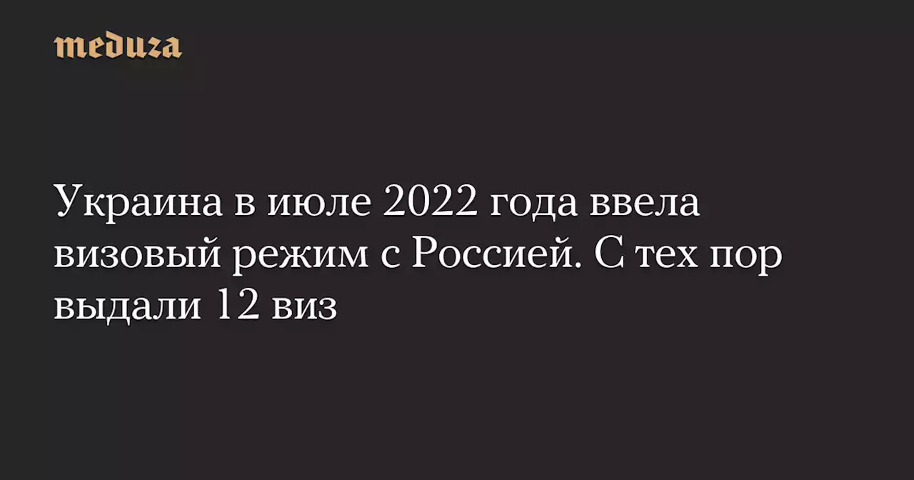 Украина в июле 2022 года ввела визовый режим с Россией. С тех пор выдали 12 виз — Meduza