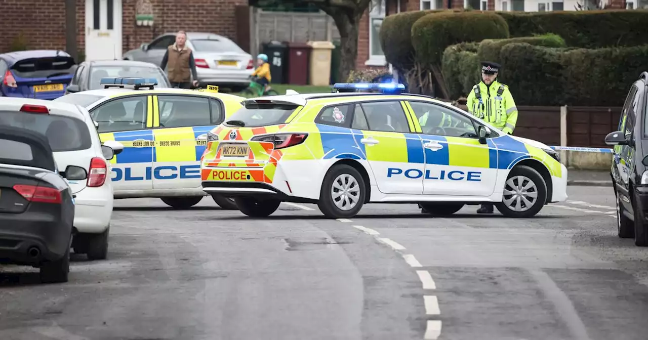 SEVEN arrests made after brawl involving stabbing and 'Rambo-style knife'