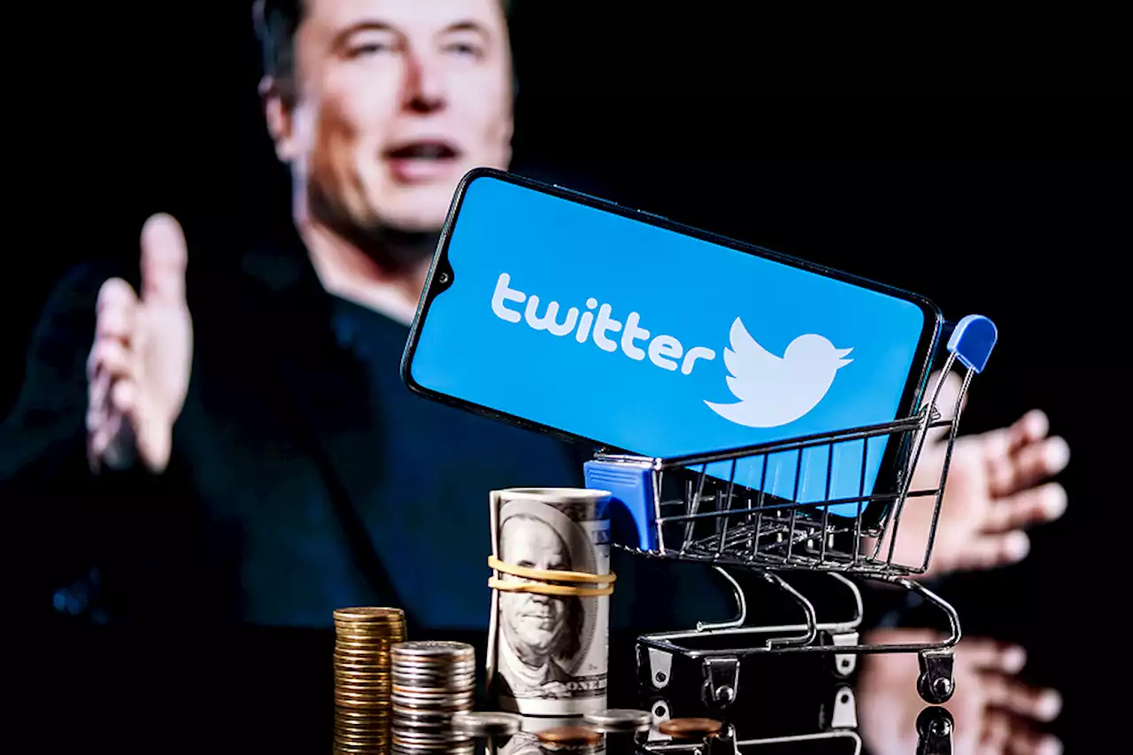 Elon Musk: el nuevo CEO de Twitter asumiría a fin de año