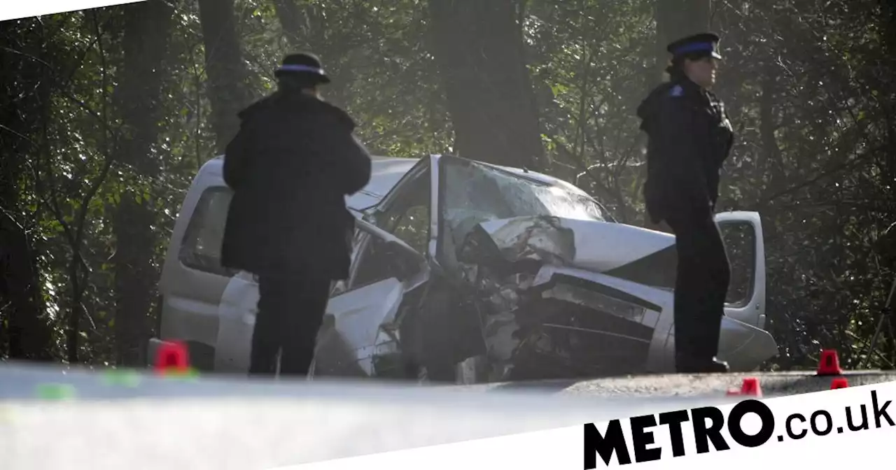 Three men killed in crash in seaside town