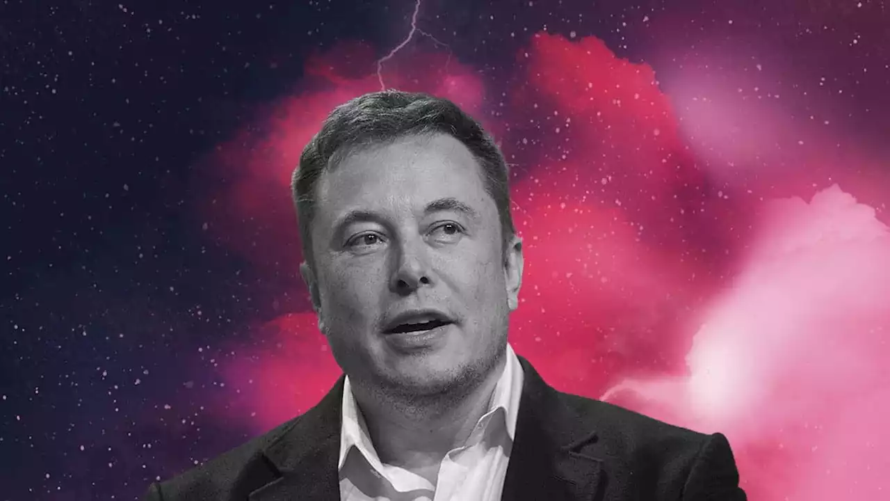 Steve Wozniak suelta sapos y culebras contra Elon Musk