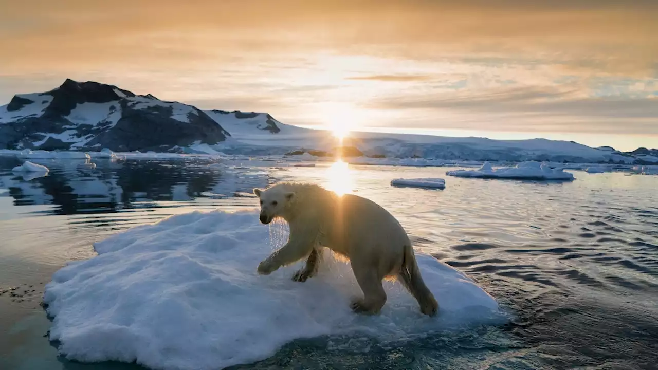 22 beautiful photos of Greenland