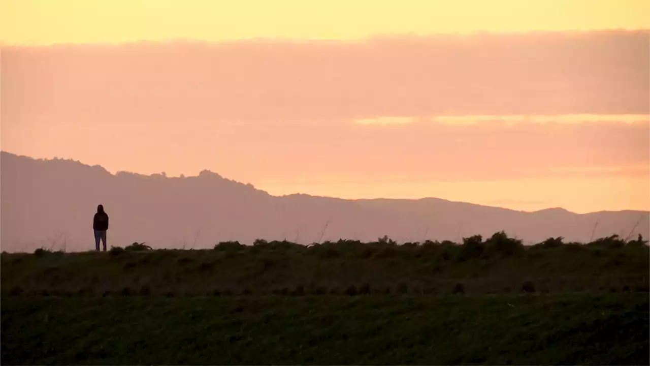 ‘You Just Have to Be There': North Bay Woman's 30-Year Mission to Protect the San Pablo Bay Shoreline