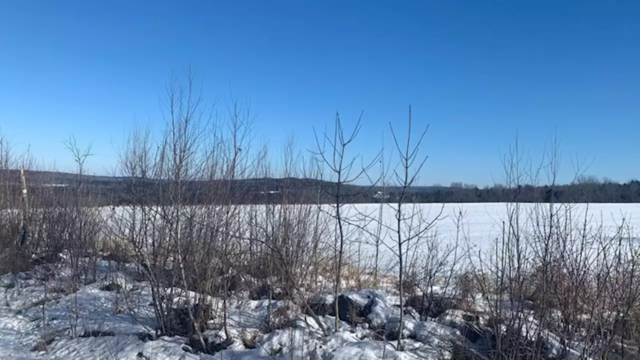 Maine Considers Plan to Buy Out Farms Hurt by PFAS Chemicals