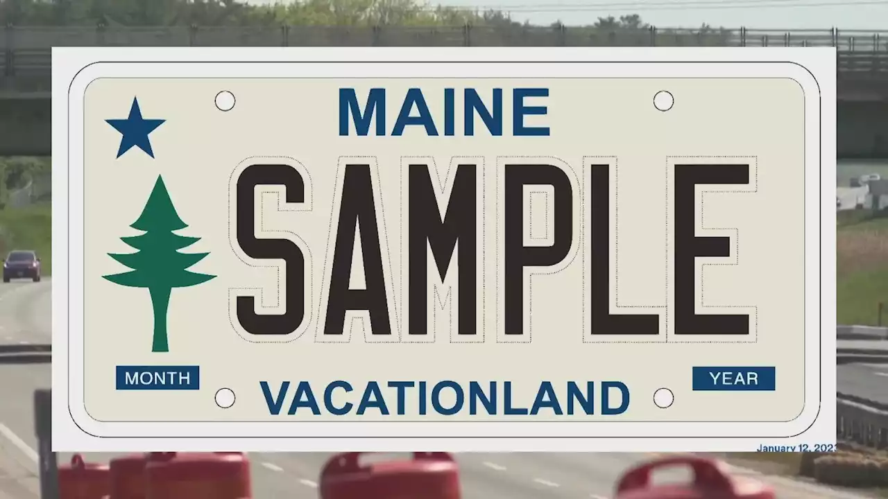 Maine's Iconic Chickadee License Plate Design Could Be Replaced