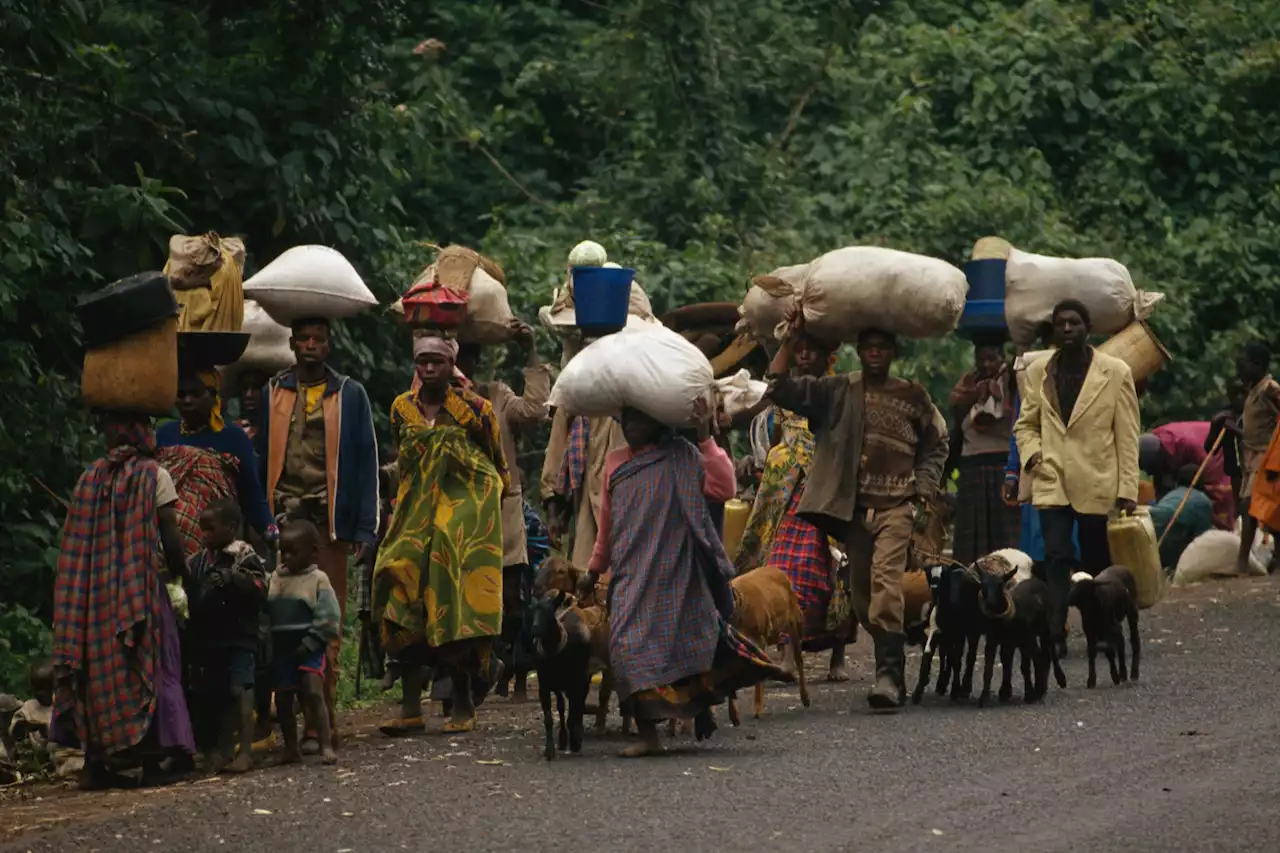 'I survived genocide. Now I'm telling the story of my country'