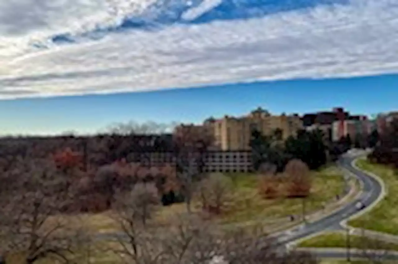 D.C.-area forecast: Spring-like warmth continues before brief cold snap Friday into Saturday