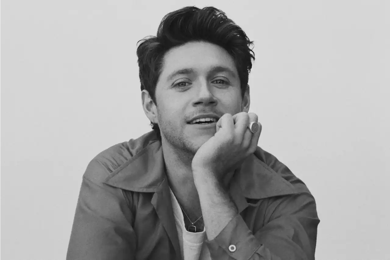 Welcome to 'The Show': Niall Horan Details First Album in Three Years