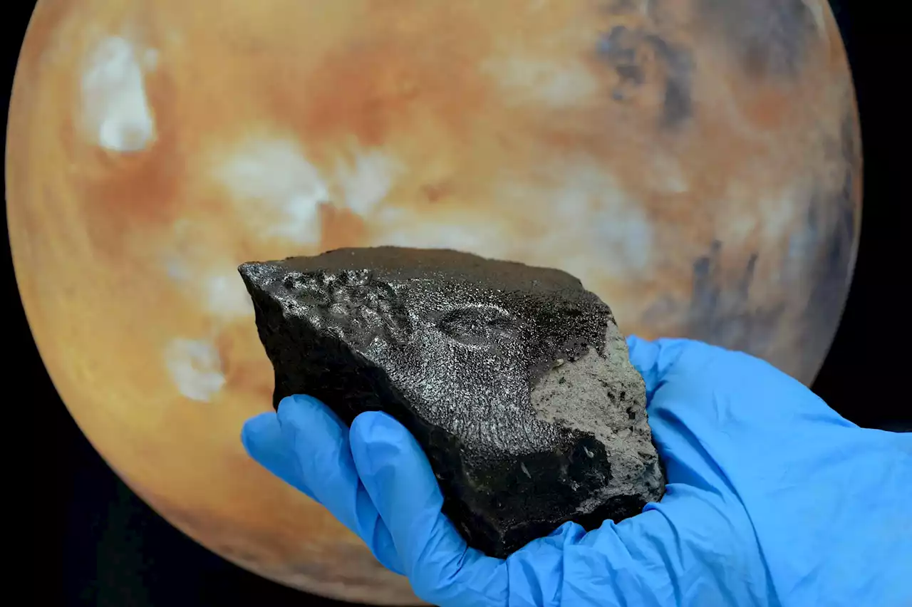 Scientists Discover Vast Diversity of Organic Compounds in Martian Meteorite