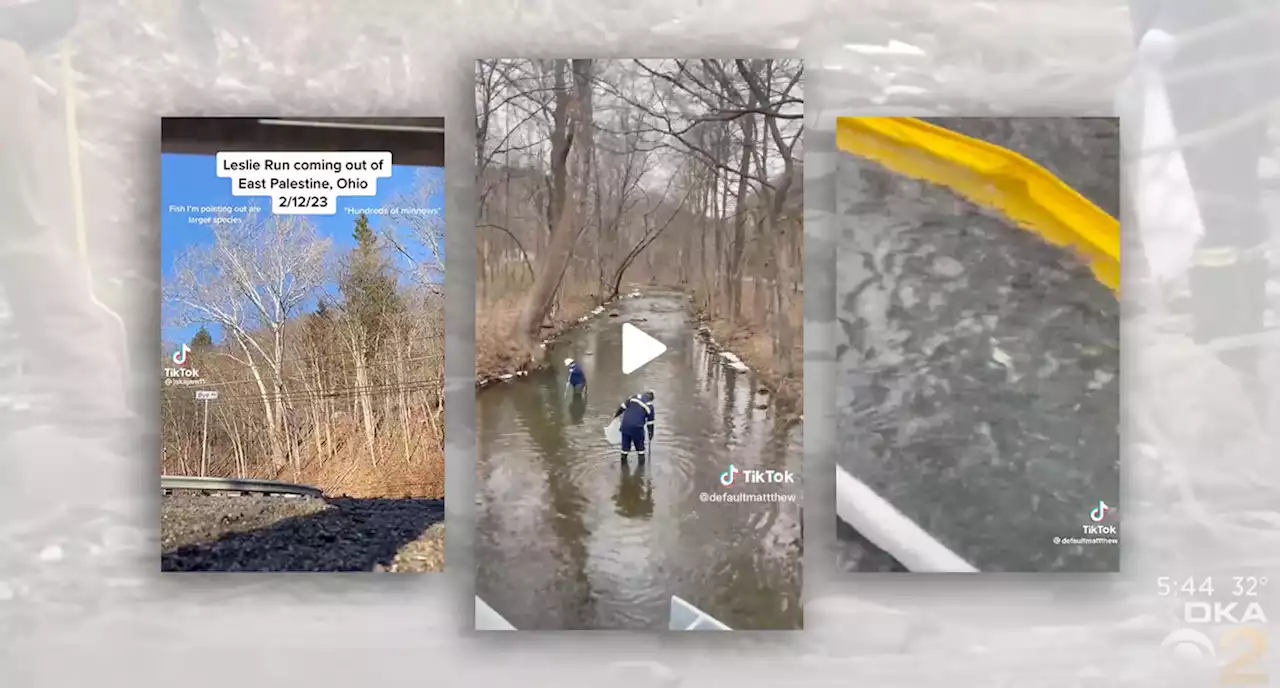 Are Videos of Dead Fish Near Ohio Train Derailment Real?