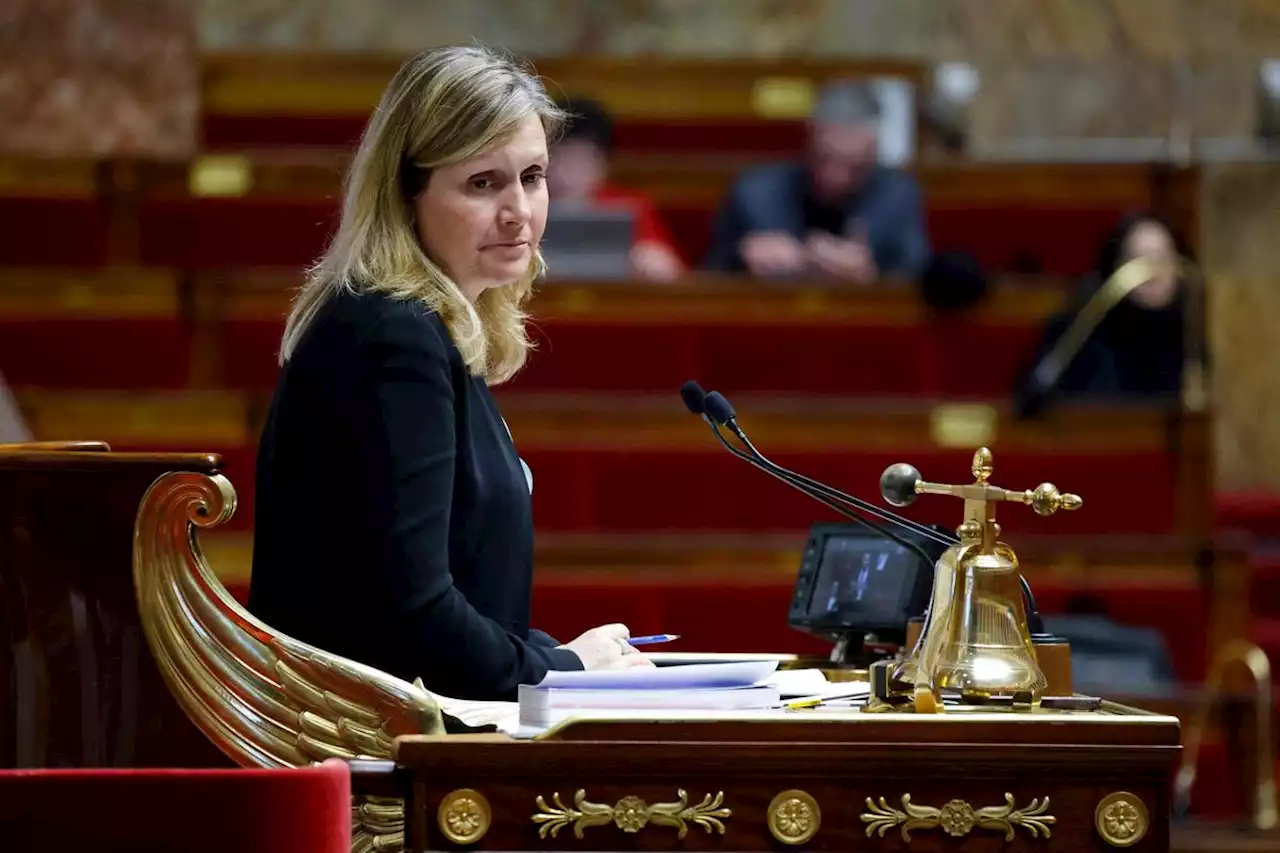 Réforme des retraites : l’Assemblée nationale tourne en surrégime