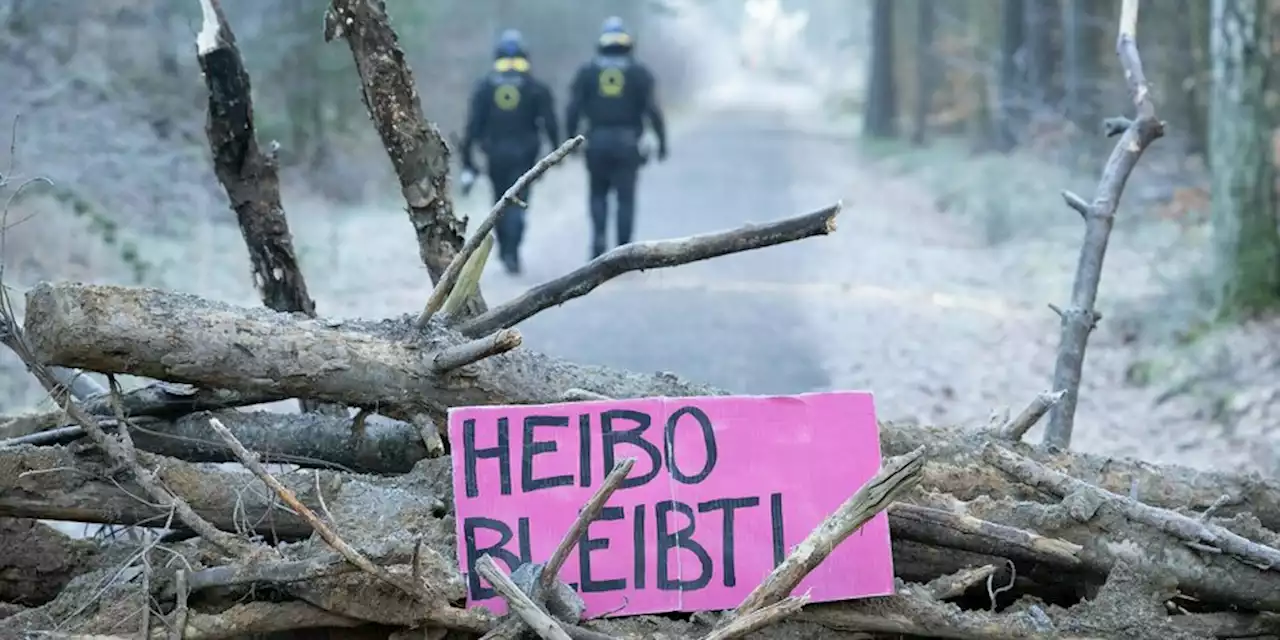 Waldbesetzung bei Dresden: Heibo-Räumung hat begonnen