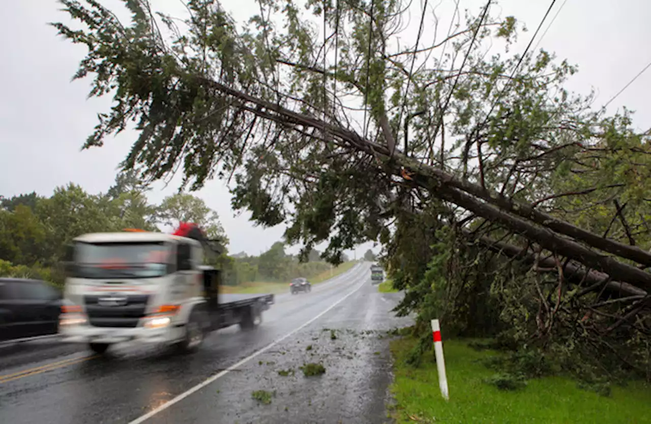 Four people killed and more than 10,000 displaced after cyclone hits New Zealand