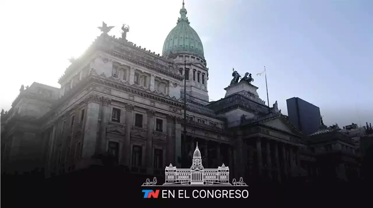 EN VIVO | De Mendiguren expone ante diputados sobre la situación de la industria