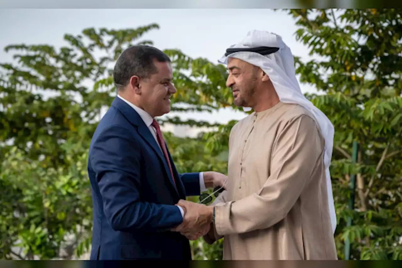 رئيس الدولة يستقبل عبد الحميد الدبيبة