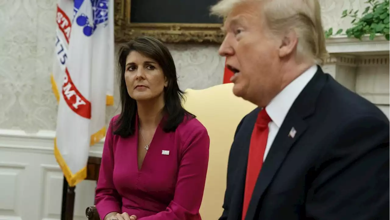 USA: Nikki Haley will als erste Frau ins Weiße Haus – so stehen ihre Chancen gegen Trump