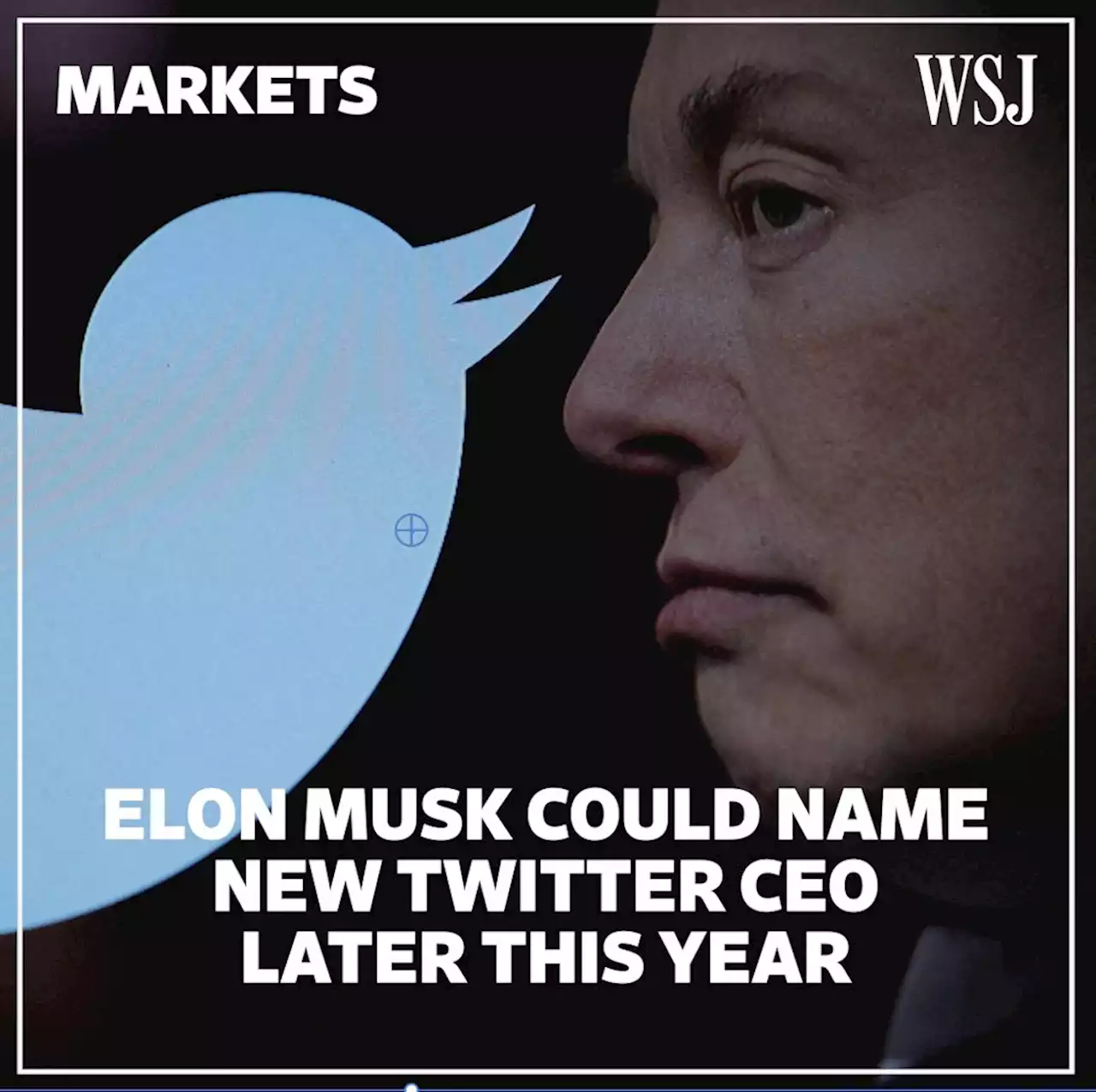 Elon Musk Aims to Name New Twitter CEO by Year End