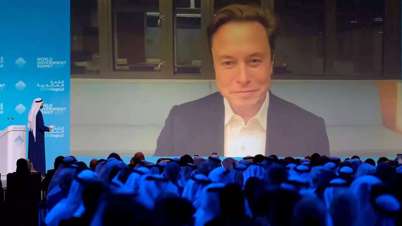 Elon Musk will neuen Twitter-Chef bis Ende 2023 einsetzen