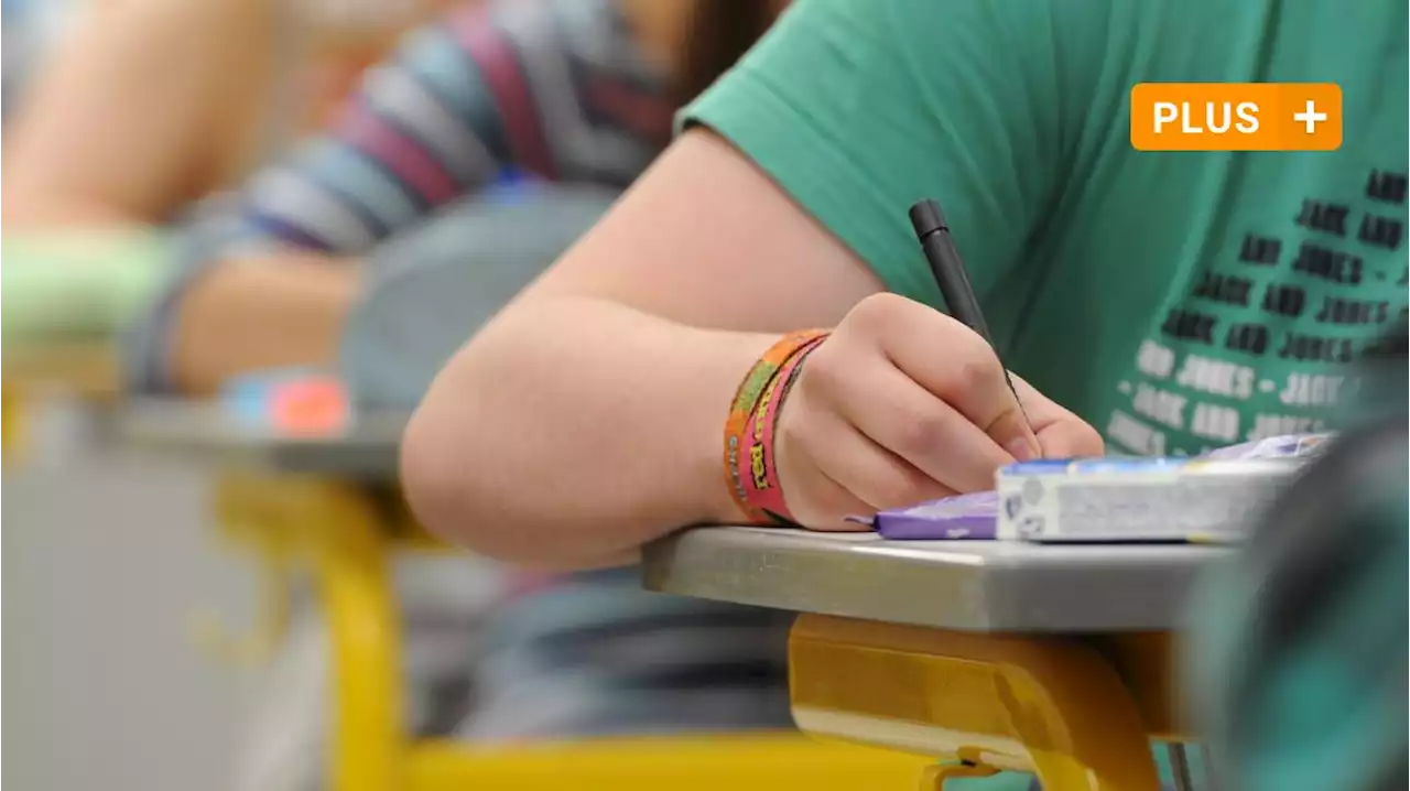 Henrike Paede vom Elternverband: 'Das Schulsystem ist schwächenorientiert'