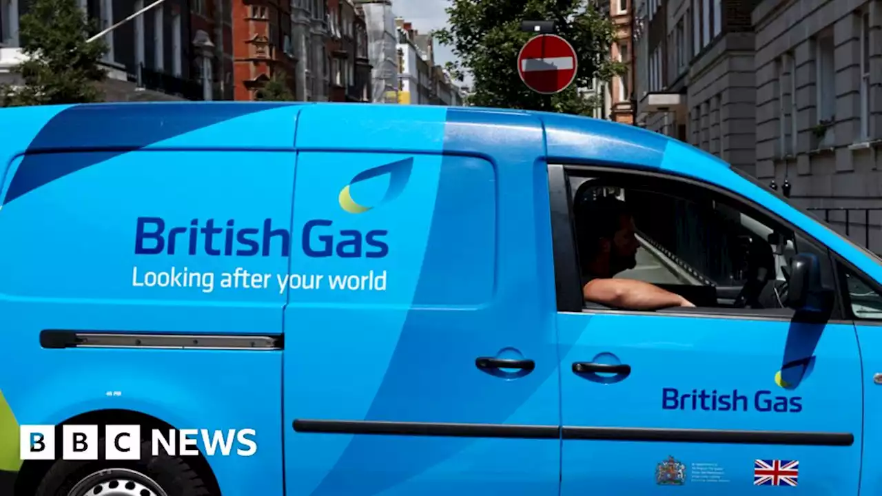 'Too early' to discuss bonus, says British Gas boss