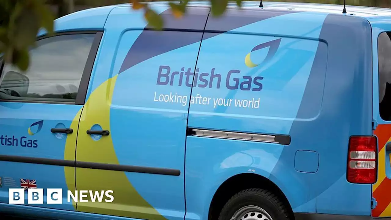 British Gas owner Centrica sees profits soar as energy bills rise