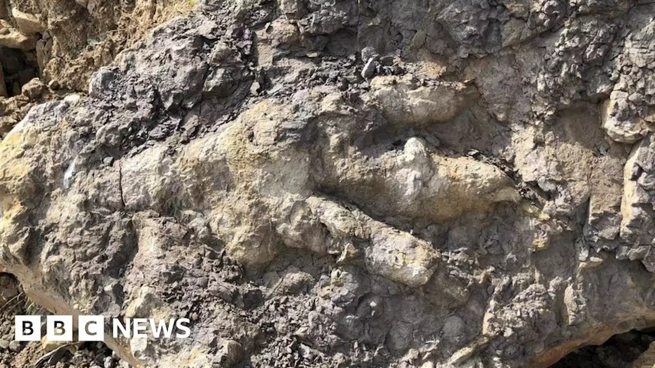 Largest ever Yorkshire dinosaur print 'left by lazing giant,' researchers say